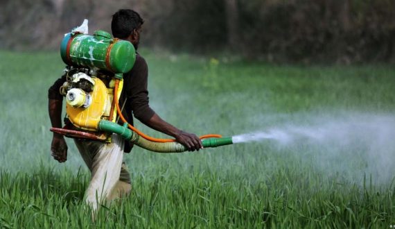 fongicide savana guinee conakry sogis